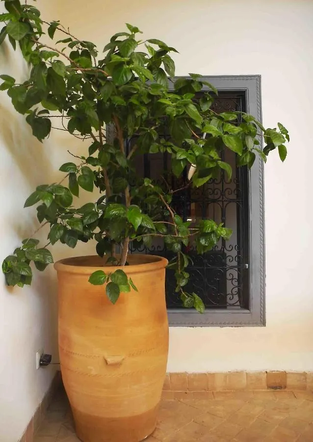 Riad Linda Marrakesh 3*,